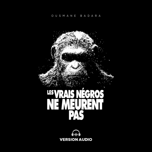 LIVRE AUDIO LES VRAIS NEGROS NE MEURENT PAS